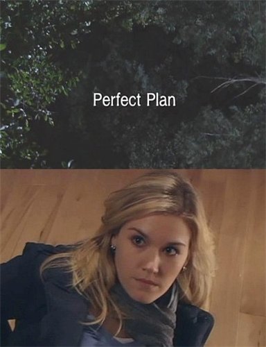 Отличный план / Perfect Plan (2010) SATRip Отличный план / Perfect Plan (2010) SATRip